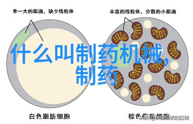 针尖穿刺力测试仪