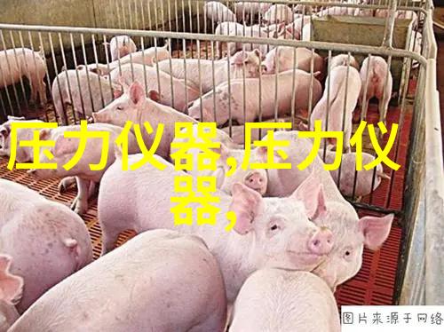 促销 压力表(齐全)